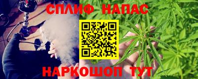 стаф Кинель