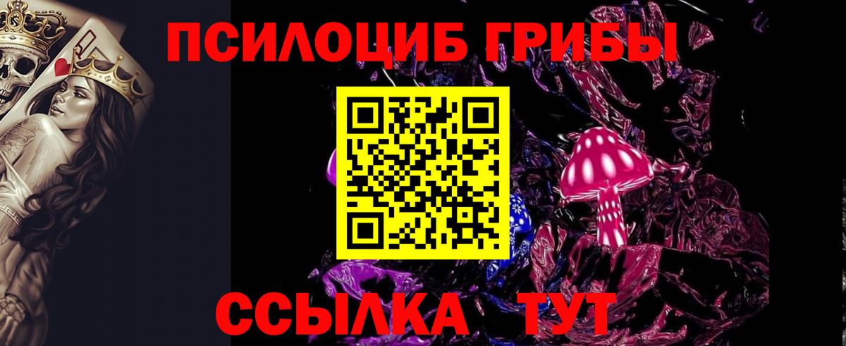 Будённовск  Псилоцибиновые грибы мицелий  Вход с VPN 