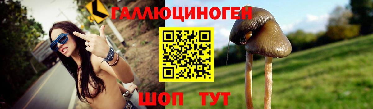 Псилоцибиновые грибы ЛСД Будённовск